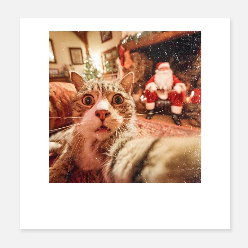 Selfie de chat avec le Père Noël Poster 20 x 20 cm