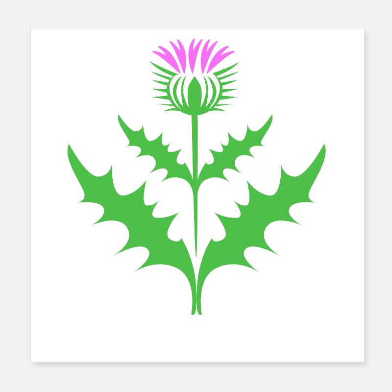 Écosse Écossais Écossais écossais Poster 20 x 20 cm