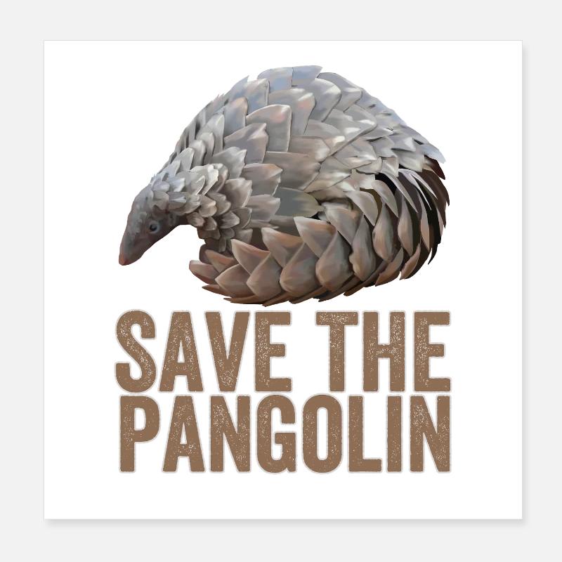 Rettet das Pangolin Poster 20x20 cm