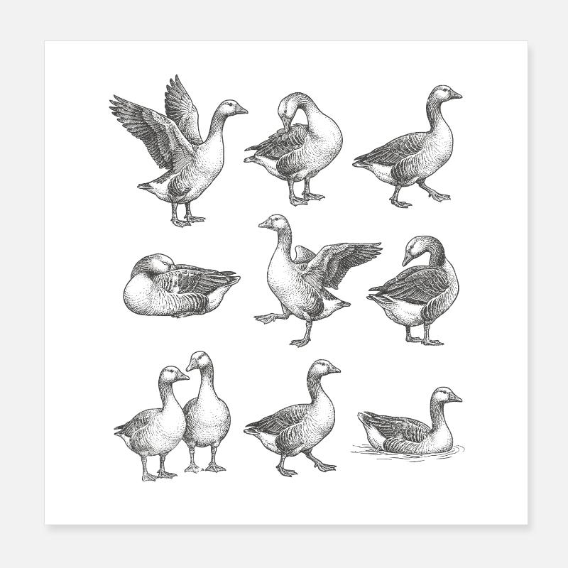 Graue Gänse Silhouetten Muster Poster 20x20 cm
