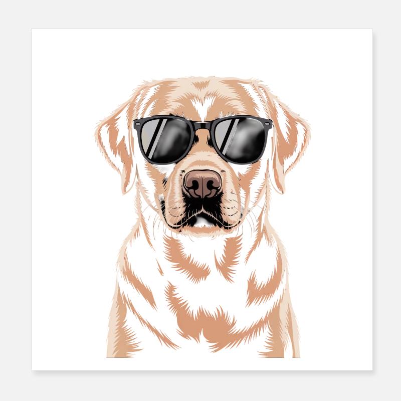 Labrador brun Poster 20 x 20 cm