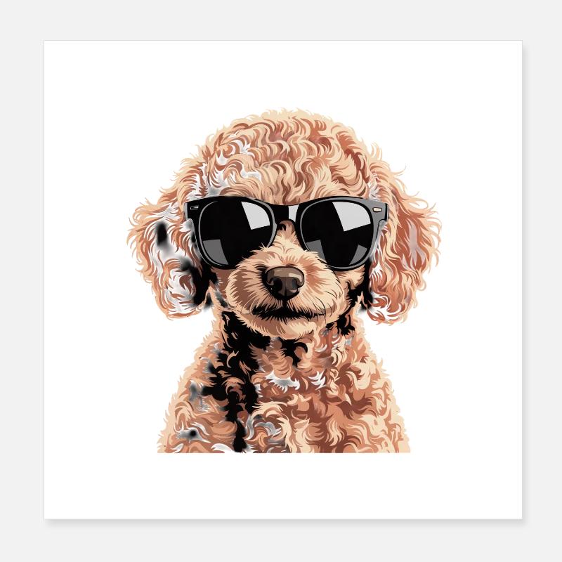 Brauner Toypudel Poster 20x20 cm