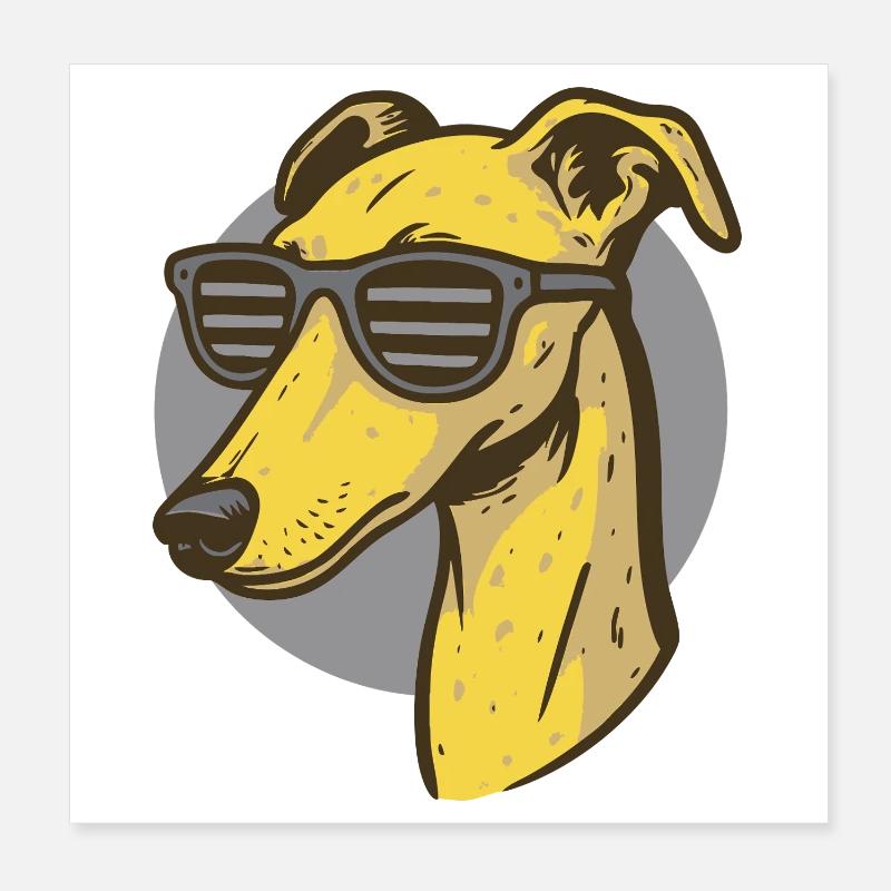 Windhund, Galgo Poster 20x20 cm