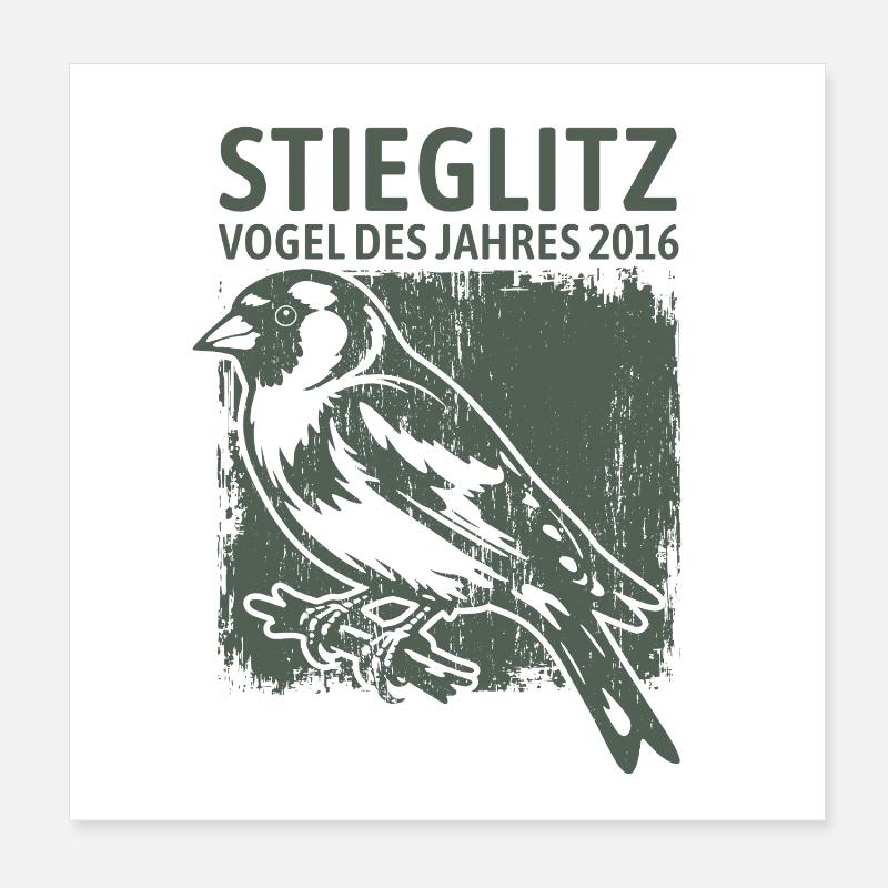 Stieglitz Vogel des Jahres 2016 Poster 20x20 cm