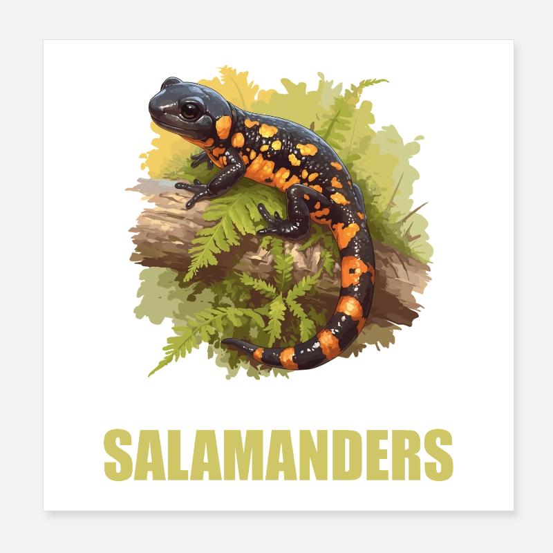 Salamandre de feu Salamandre Poster 20 x 20 cm