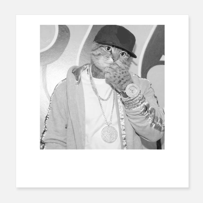 Style de rue rappeur chat Poster 20 x 20 cm