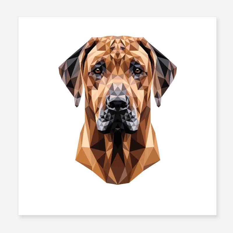 Rhodesian Ridgeback Hunting Dog Dogs Pride Ridgeback Poster 8" x 8" (20x20 cm)