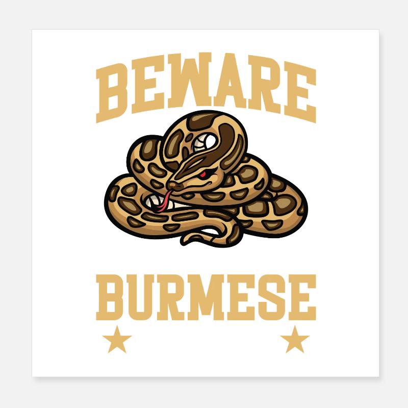 Burmesischer Python-Plüschschlangenliebhaber Reptilien-Burmeser Poster 20x20 cm