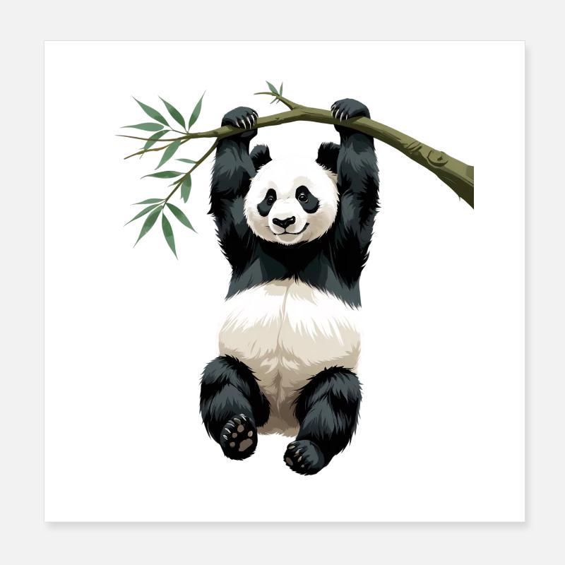 Hängender Panda Bambuszweig Poster 20x20 cm