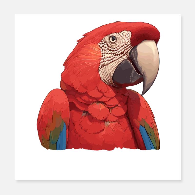 Aras Ara Poster 20x20 cm