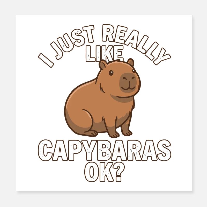 Capybara, I just really like capybaras Poster 20x20 cm
