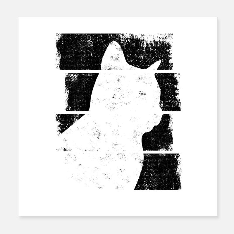 Dessin de chat Poster 20 x 20 cm