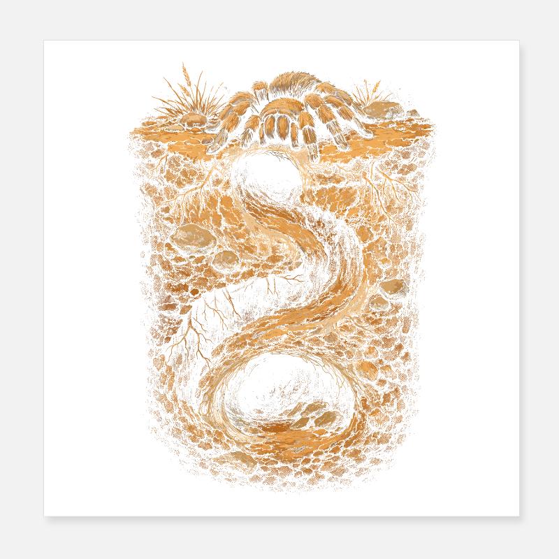 Tarentule Poster 20 x 20 cm