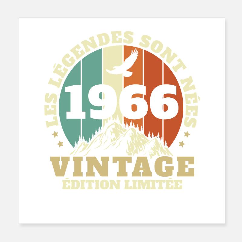 1966 Vintage Retro Geburtstagsgeschenk Poster 20x20 cm