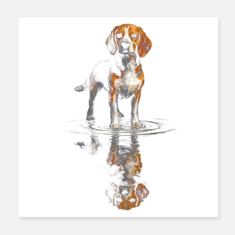 Beagle at the water level Poster 8" x 8" (20x20 cm)