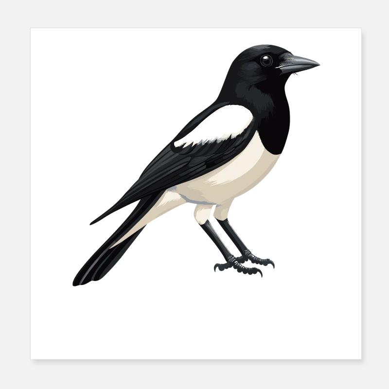 Pies Magpie Poster 20 x 20 cm