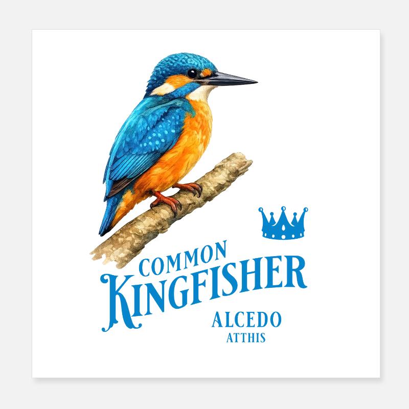 Kingfisher Kingfisher Bird Nature Design Poster 8" x 8" (20x20 cm)