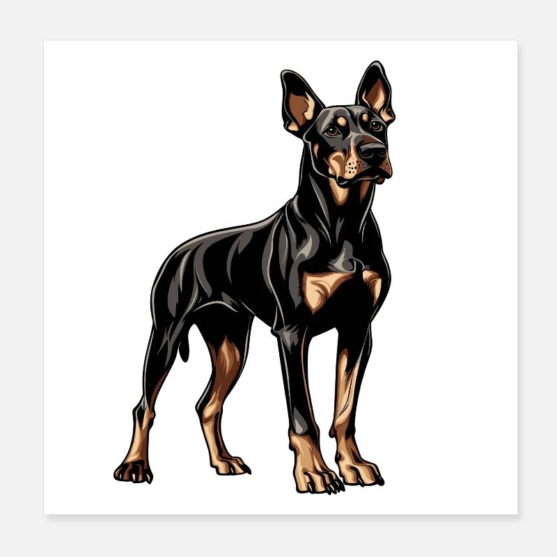 Dobermann Poster 20x20 cm