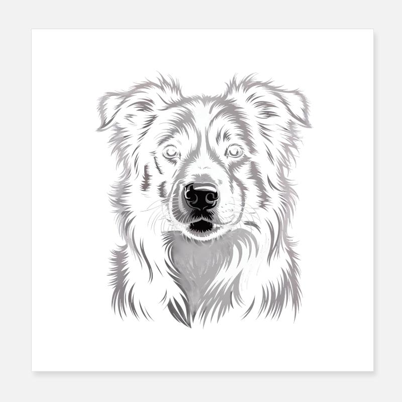 Boder Collie Poster 20x20 cm