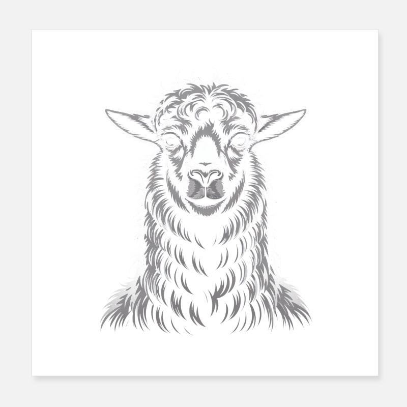 lama Poster 20 x 20 cm