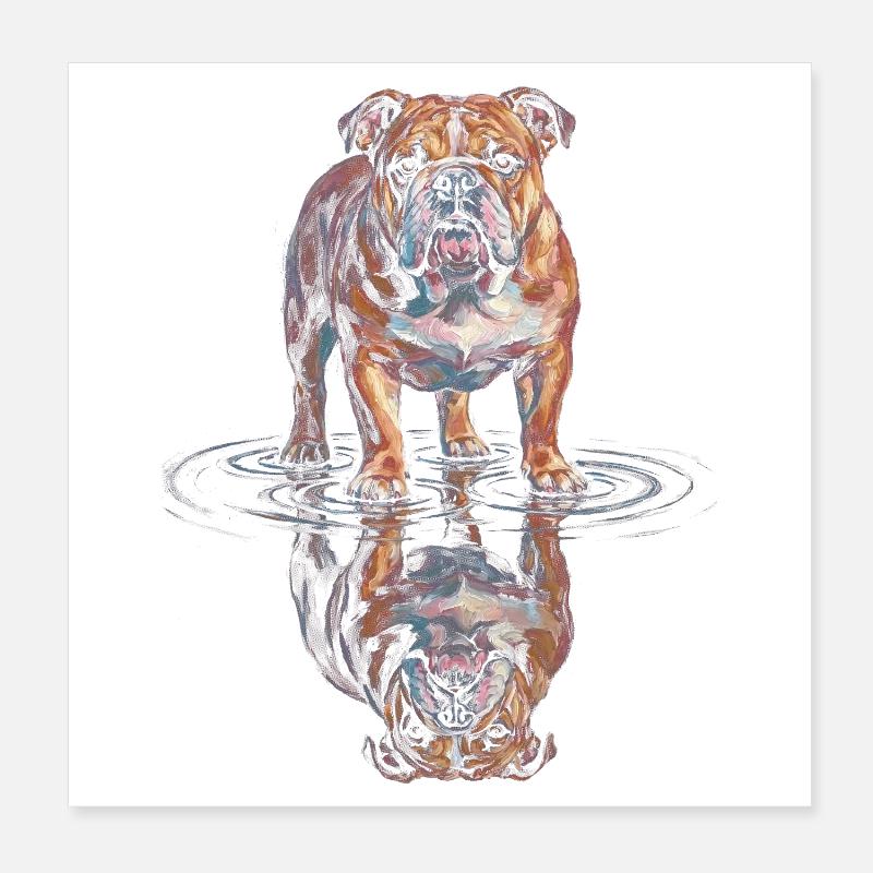Bulldog Water Reflection Poster 8" x 8" (20x20 cm)