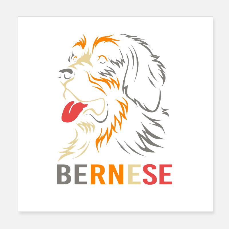Bouvier bernois Poster 20 x 20 cm