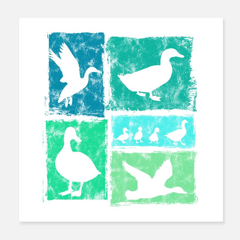 Perspectives de canards : graphique rétro de ferme Poster 20 x 20 cm