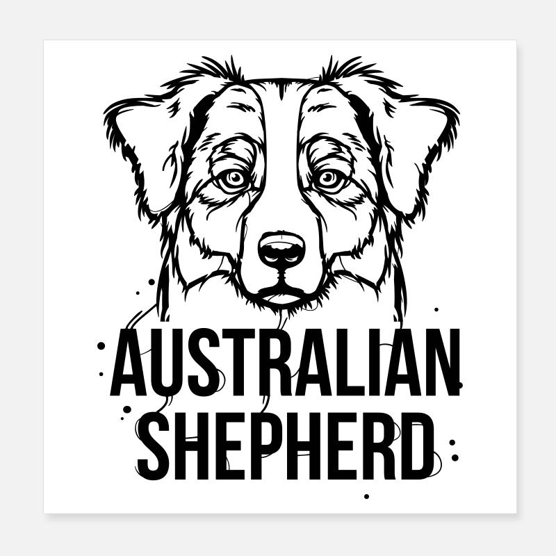 Australian Shepherd Poster 20x20 cm