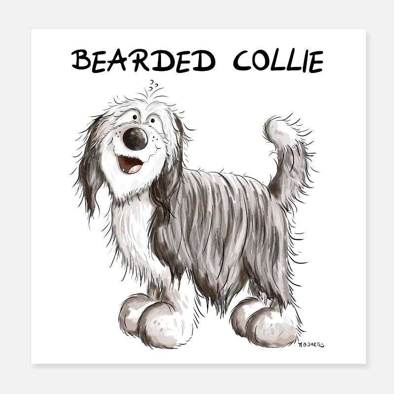 Mignon Bearded Collie Poster 20 x 20 cm