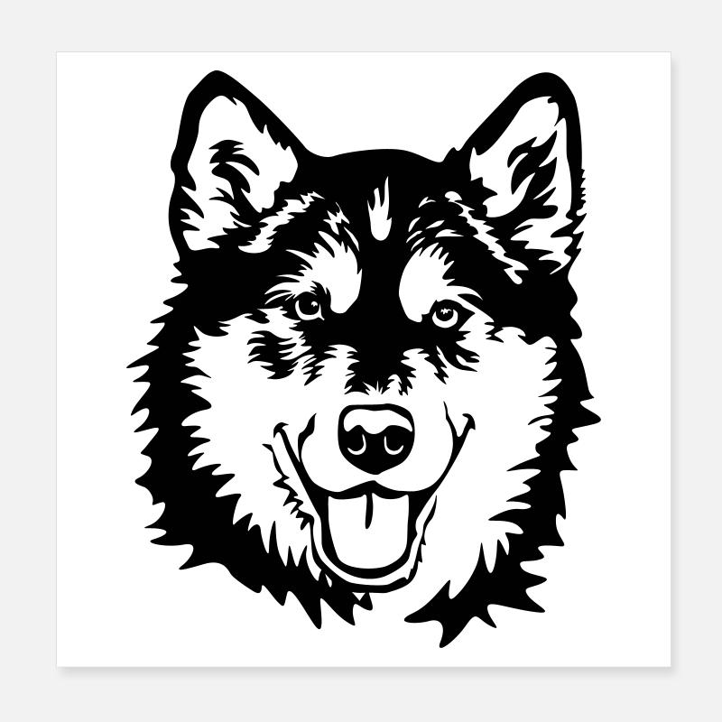 Alaskan Malamute Kopf Poster 20x20 cm