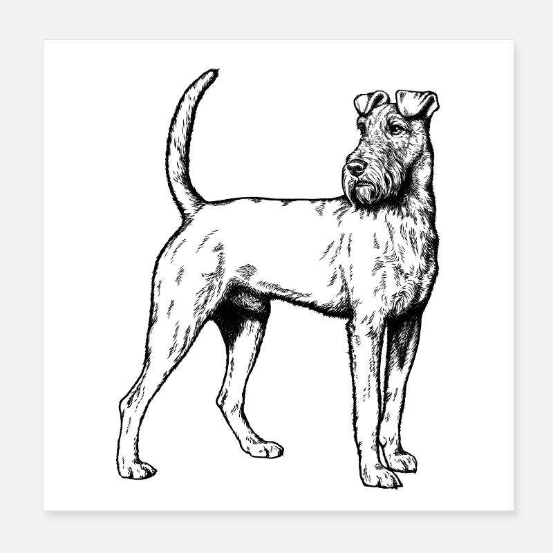 Irish Terrier Mailo 2023 sw Poster 8" x 8" (20x20 cm)