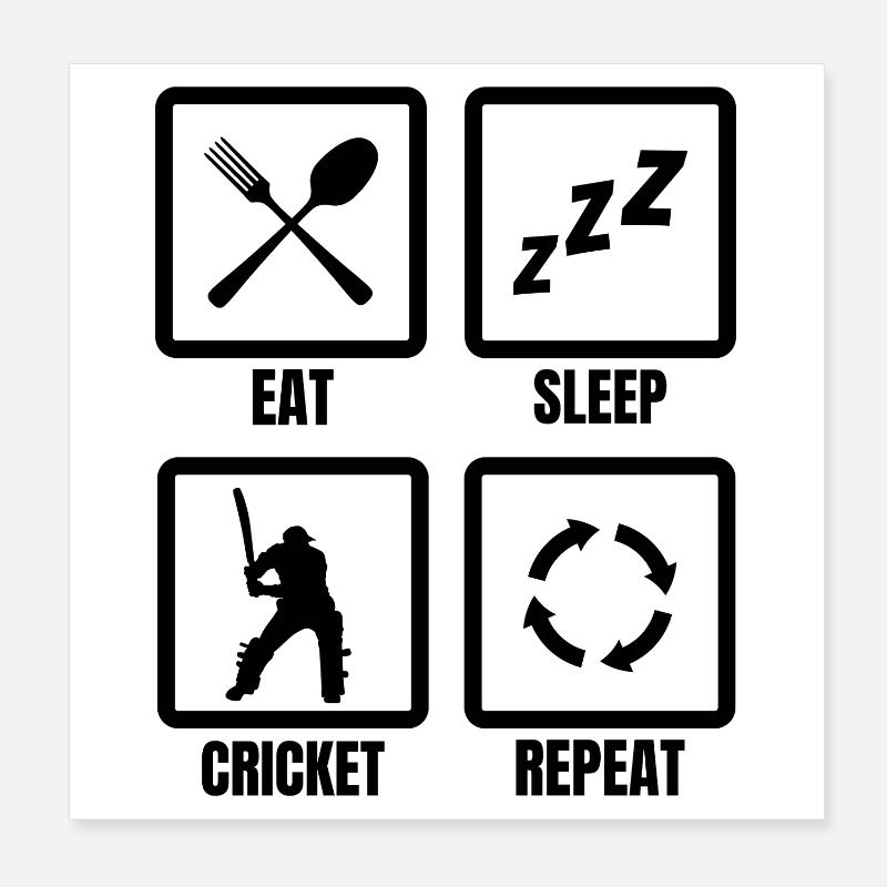Cricket Routine Poster 20 x 20 cm