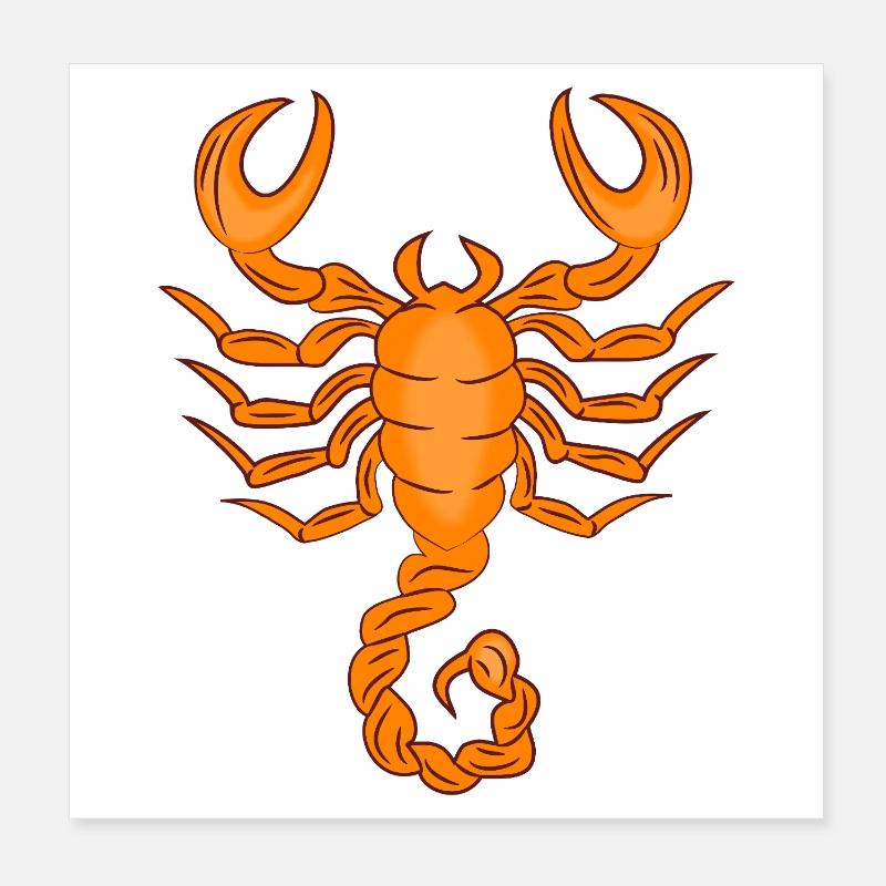 Sternzeichen Skorpion Poster 20x20 cm