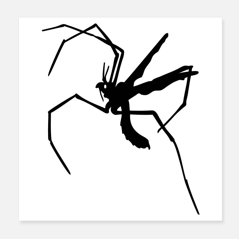 Langbeinige Mücke Poster 20x20 cm