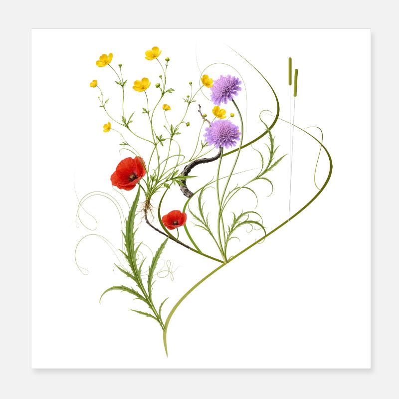 Conception botanique des prairies sauvages Poster 20 x 20 cm