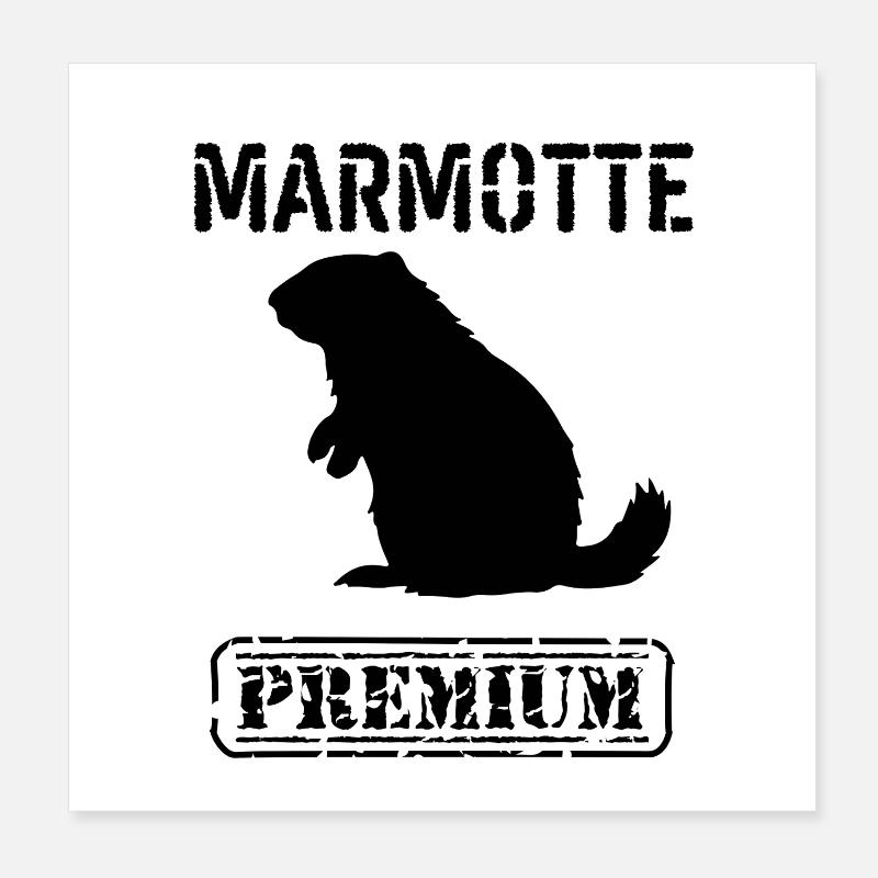 Marmotte premium  Poster 20 x 20 cm