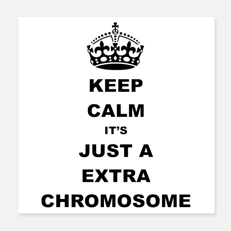 Keep Calm c’est juste un chromosome supplémentaire. Poster 20 x 20 cm