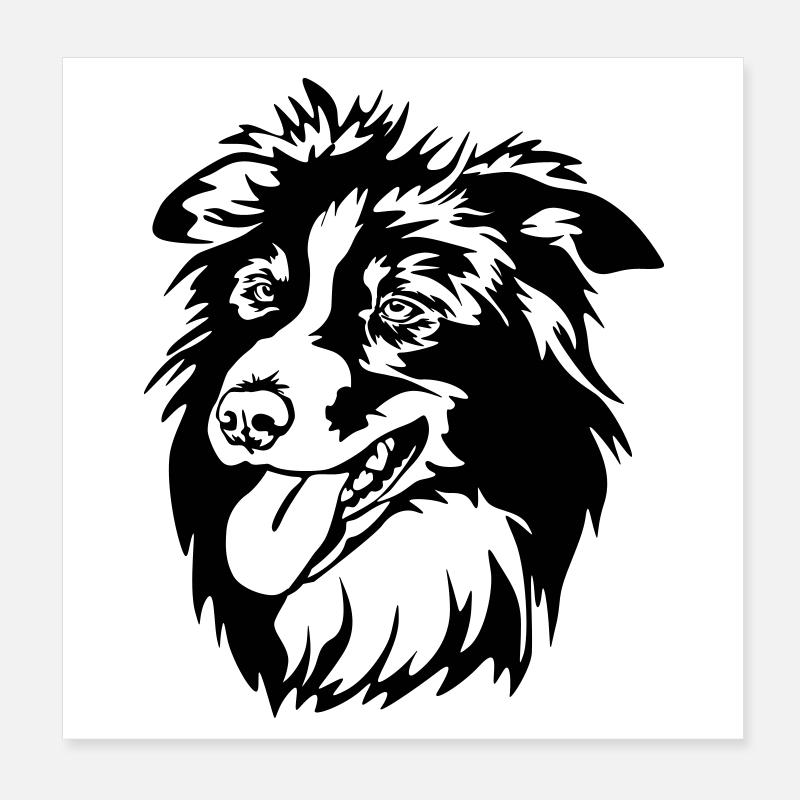 Border Collie Kopf Poster 20x20 cm