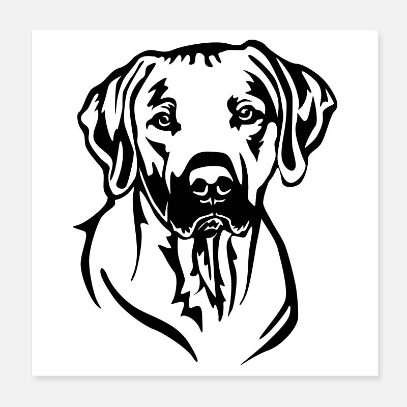 Tête rhodesienne Ridgeback Poster 20 x 20 cm