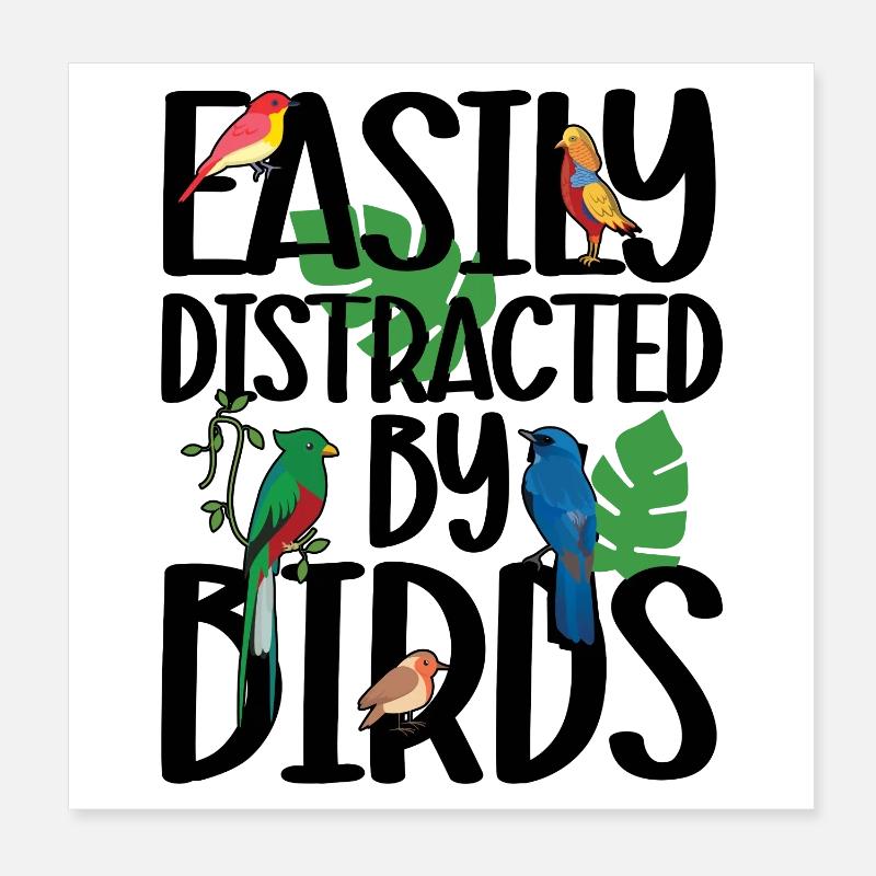 Facilement distrait par les oiseaux Poster 20 x 20 cm