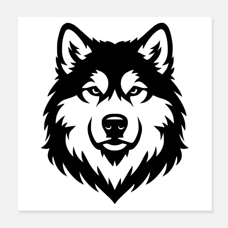 Alaskan Malamute schwaz Poster 20x20 cm