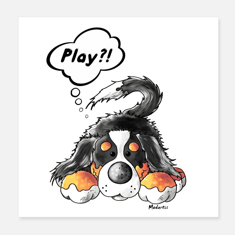 Bouvier bernois Poster 20 x 20 cm