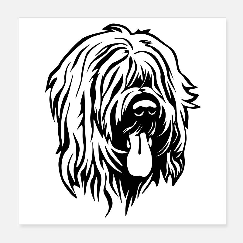 Tête de Briard Poster 20 x 20 cm