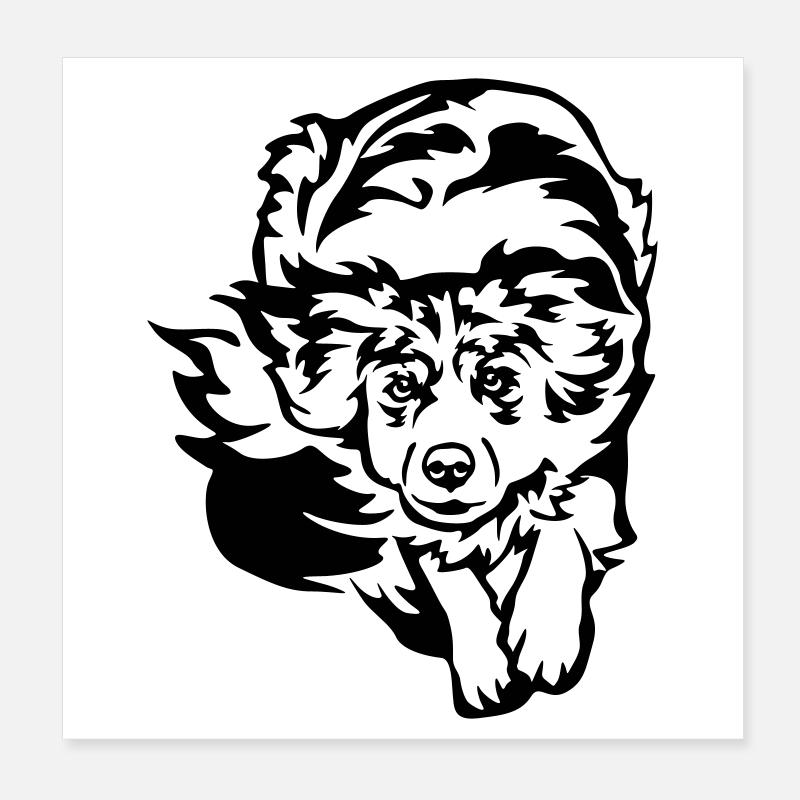 Australian Shepherd Poster 8" x 8" (20x20 cm)