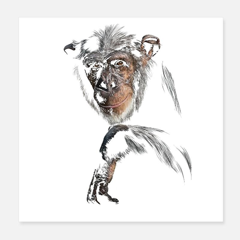 Chimpanzé Poster 20 x 20 cm