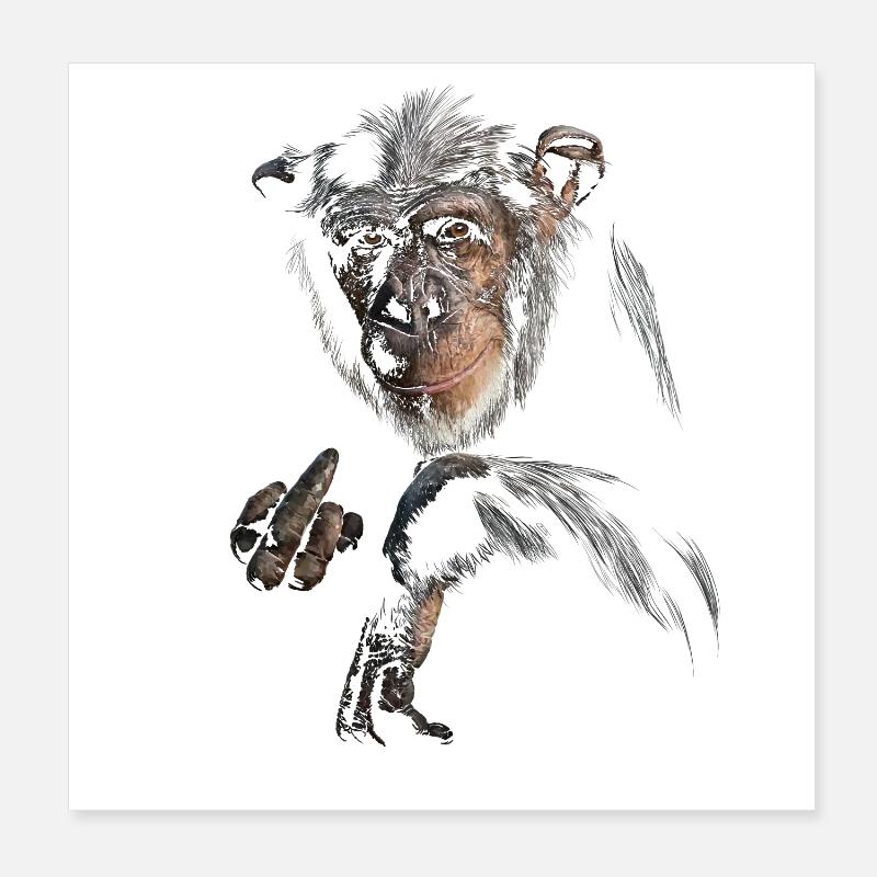 Chimpanzé Poster 20 x 20 cm