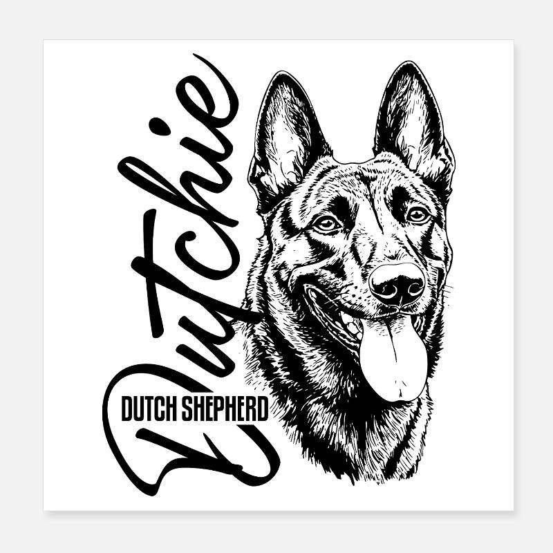 Dutchie - Holländischer Schäferhund Poster 20x20 cm