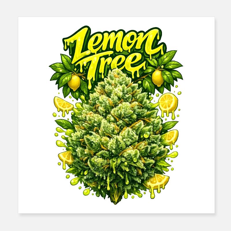 Graffiti Lemon Tree Grav Art Poster 20 x 20 cm