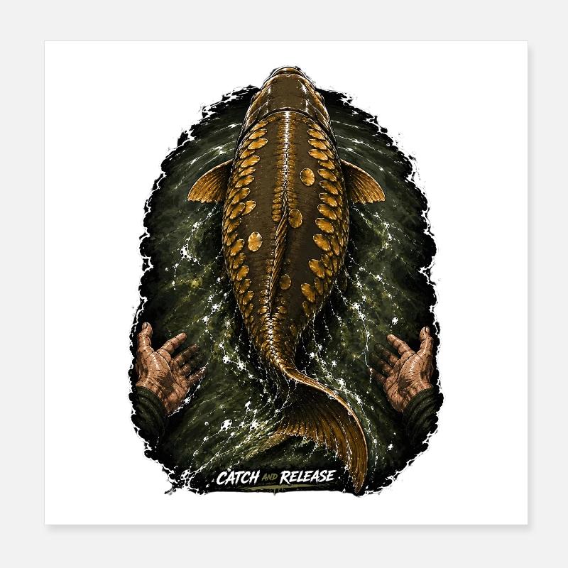 Catch & Release Karpfenfischen Poster 20x20 cm