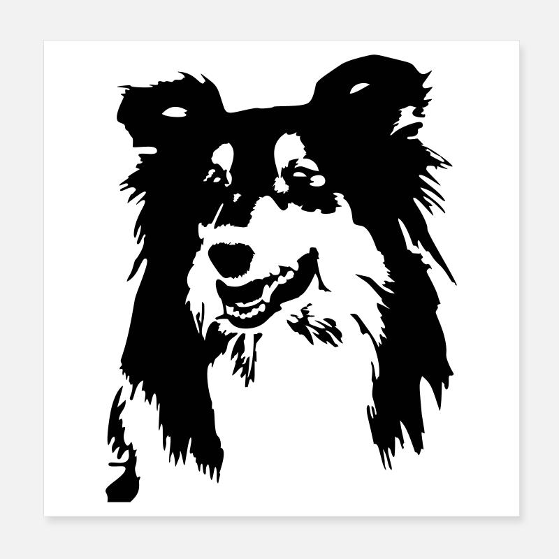 Collie Kopf Poster 20x20 cm